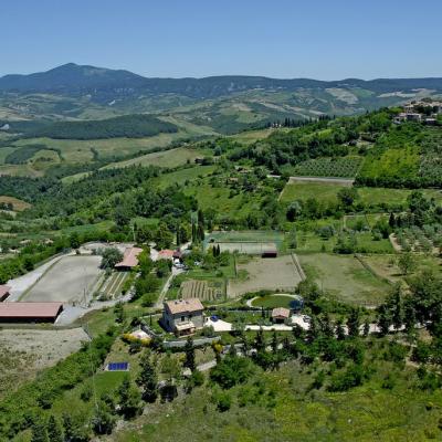 Il Poggio 3